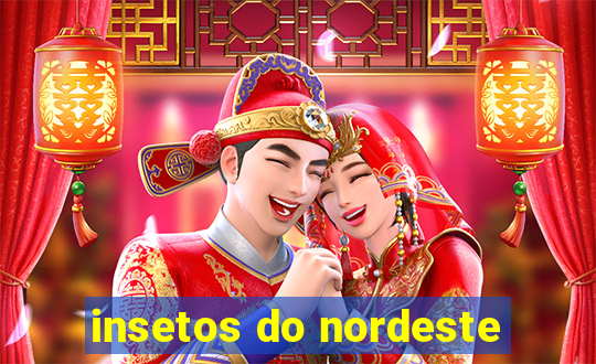 insetos do nordeste